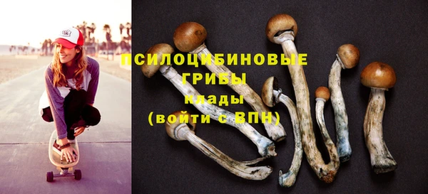 круглые Ельня