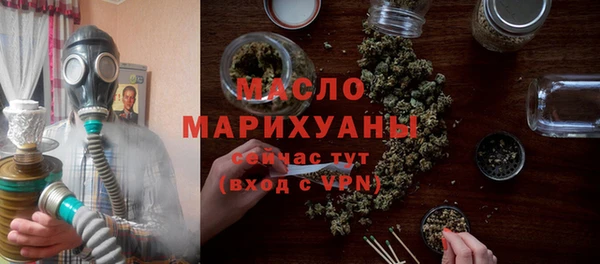 мет Елабуга