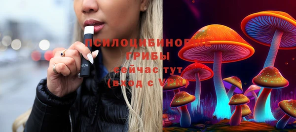 круглые Ельня