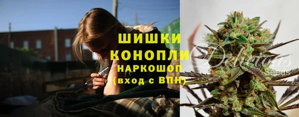 мет Елабуга