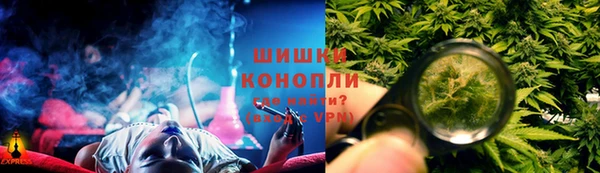 шишки Заволжье