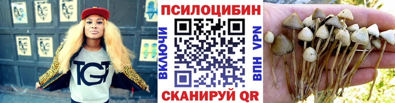 Купить закладки  Мончегорск  Галлюциногенные грибы Cubensis 