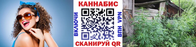 Шишки марихуана OG Kush  Купить закладки  Мончегорск 